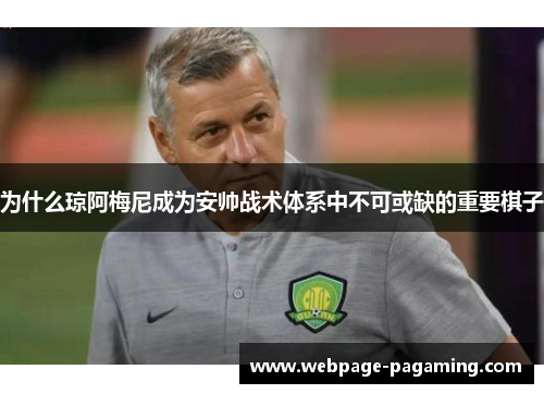 为什么琼阿梅尼成为安帅战术体系中不可或缺的重要棋子
