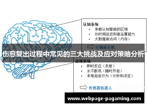 伤愈复出过程中常见的三大挑战及应对策略分析