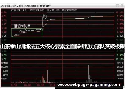 山东泰山训练法五大核心要素全面解析助力球队突破极限