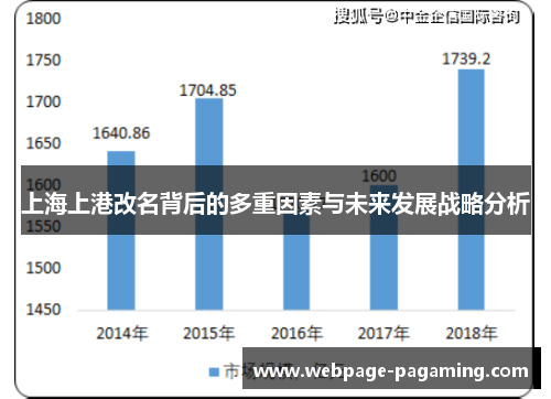 上海上港改名背后的多重因素与未来发展战略分析
