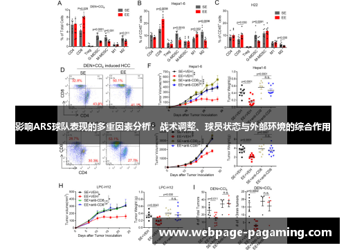 影响ARS球队表现的多重因素分析：战术调整、球员状态与外部环境的综合作用