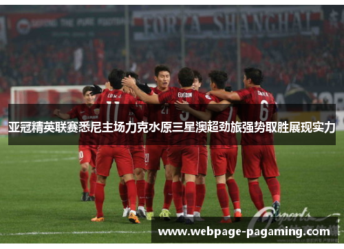 亚冠精英联赛悉尼主场力克水原三星澳超劲旅强势取胜展现实力